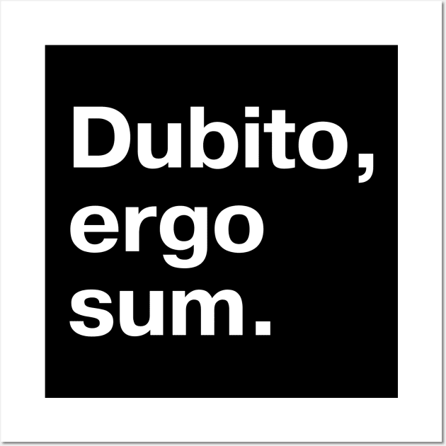 "Dubito, ergo sum." in plain white letters - I doubt, therefore I am (the king/queen of sarcasm) Wall Art by TheBestWords